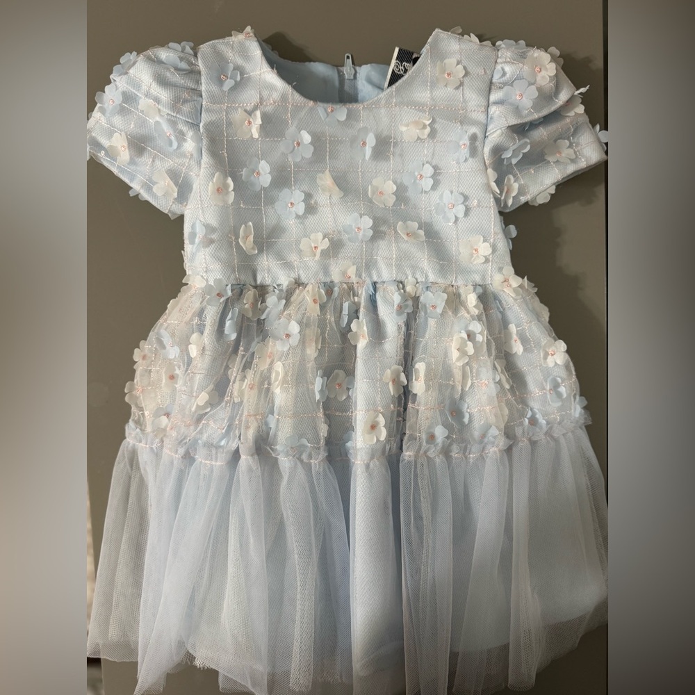 Toddler Girls Cap Sleeves 3D Floral Mesh Social Dress